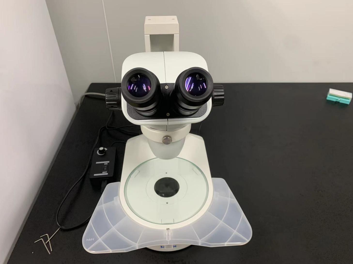 体视显微镜应用于线虫观察|应用百科