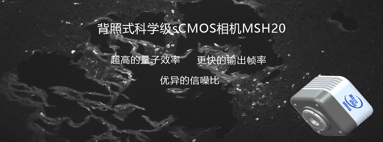 背照式sCMOS相机