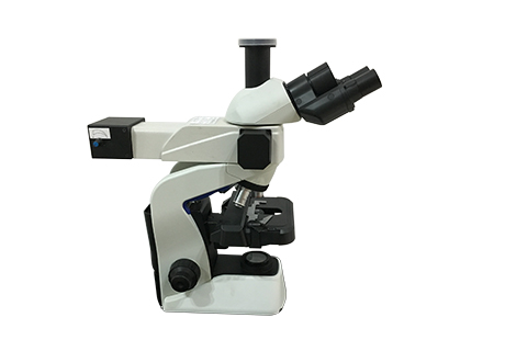 国产显微镜应用于烟曲霉检测