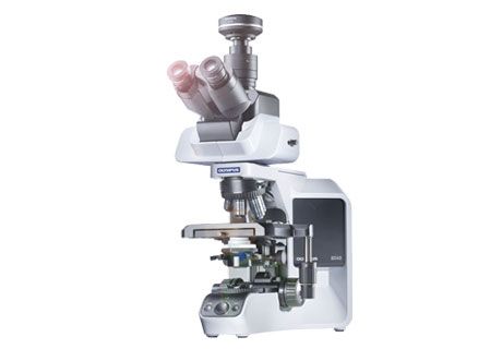 奥林巴斯生物显微镜BX43