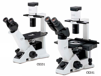 奥林巴斯荧光显微镜