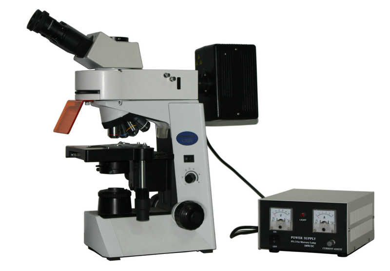 荧光显微镜MF41