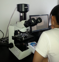 明美显微镜摄像头MC50用于中纺集团产品质量管理