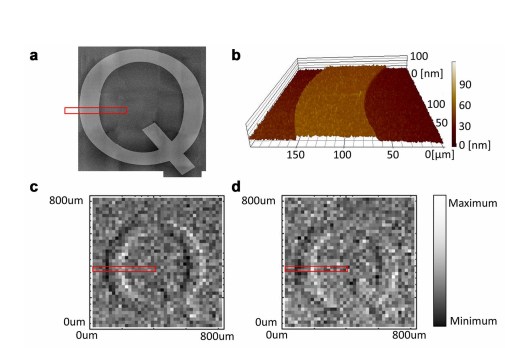 量子纠缠显微镜 技术说明图