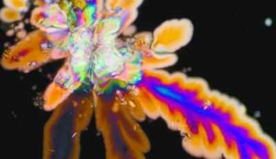 一种传统黄啤里的二氧化碳泡沫看起来竟会如此美丽，偏光显微镜拍摄