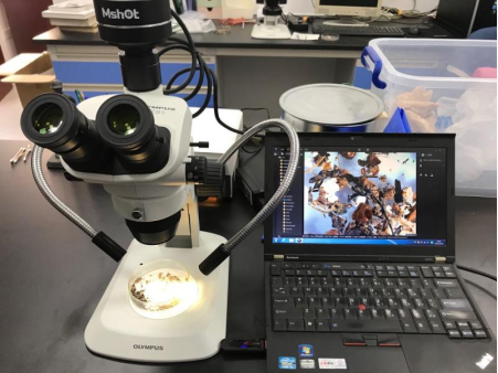 考古研究需要用到哪些光学显微镜呢？
