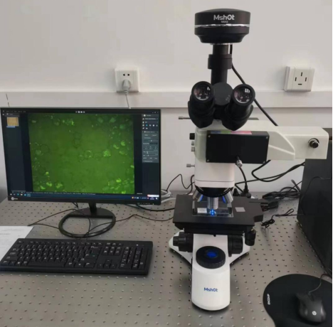 金相显微镜的荧光升级用于二维材料检测