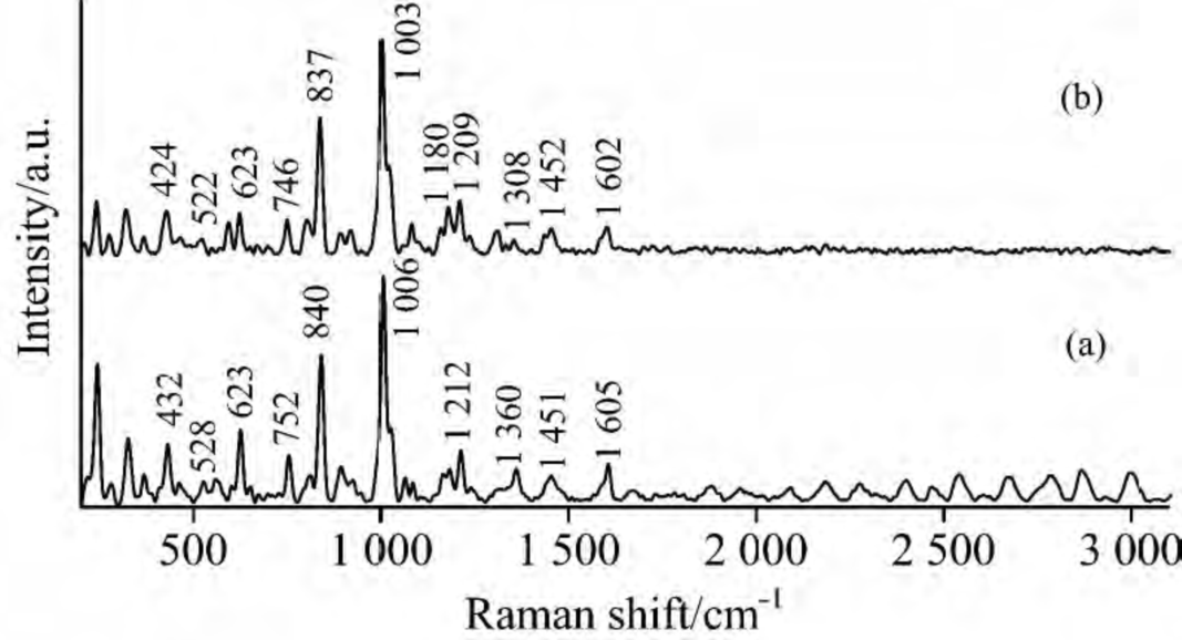 拉曼光谱的应用