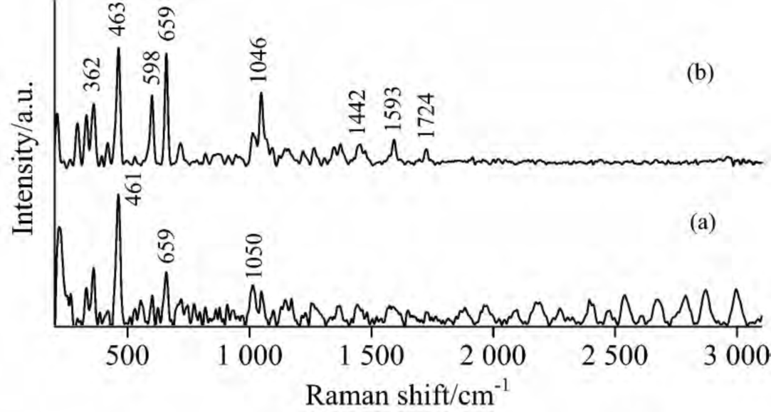 拉曼光谱的应用