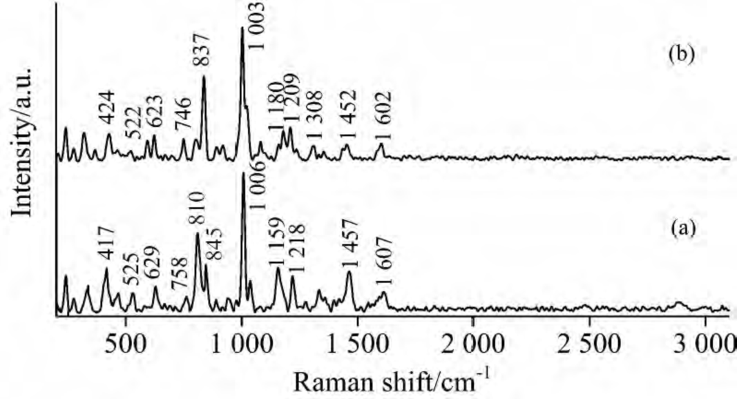 拉曼光谱的应用