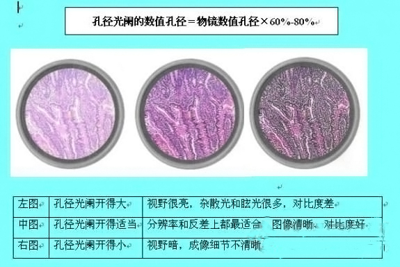 聚光镜